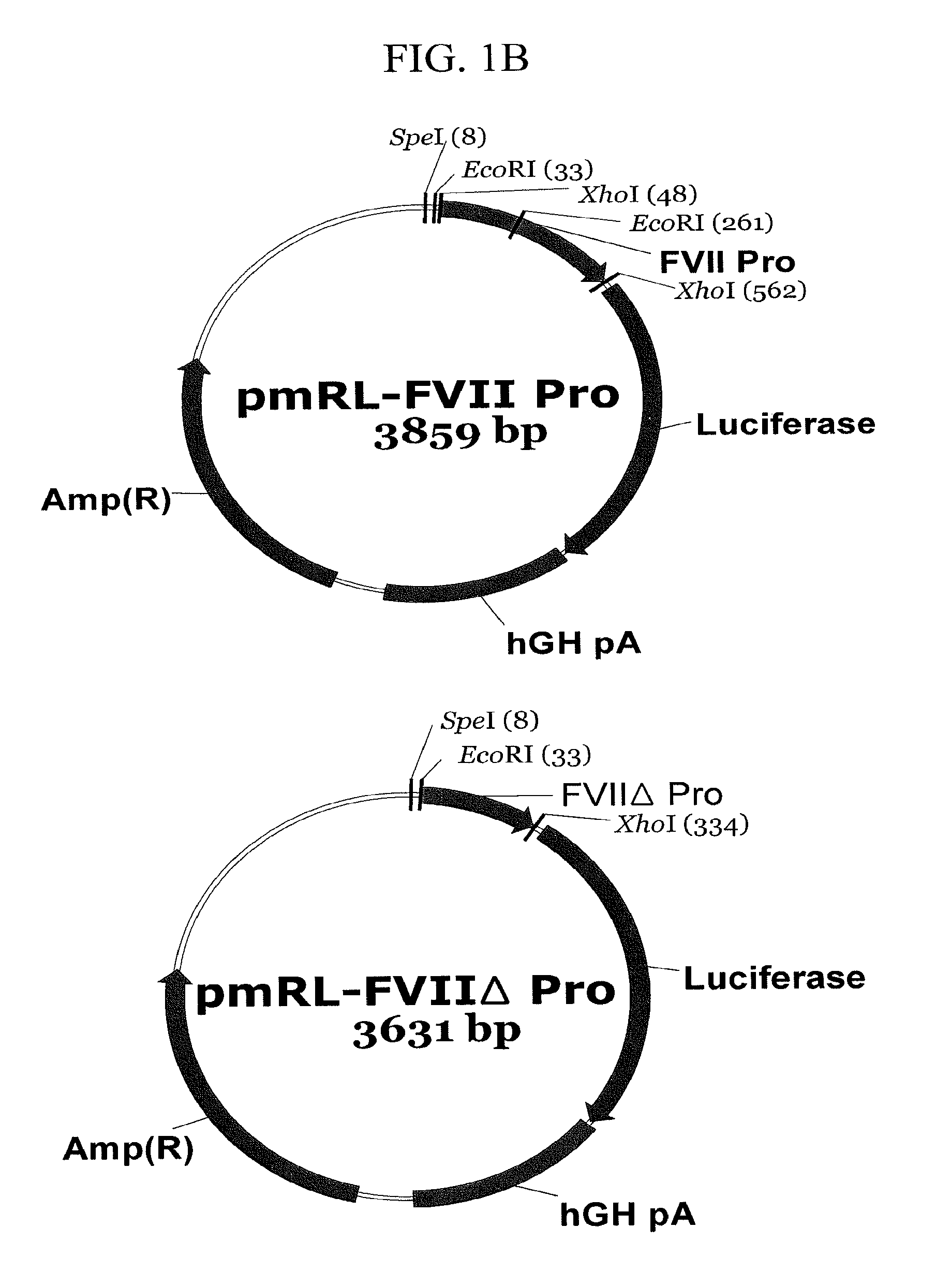 Expression vector suitable for expression of a coding sequence for gene therapy