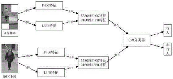 Pedestrian identification method based on image with FHOG- LBPH feature