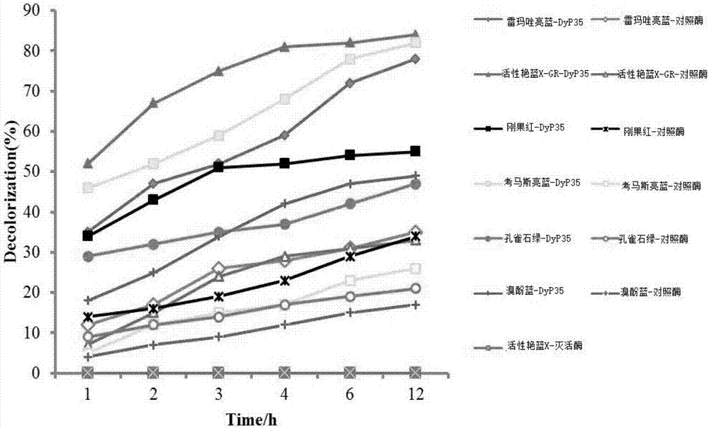 Peroxidase DyP35 gene, and expression protein and application thereof