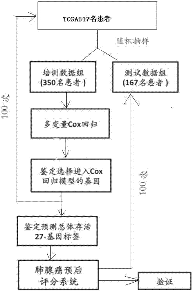 Lung adenocarcinoma-related gene signatures and application thereof