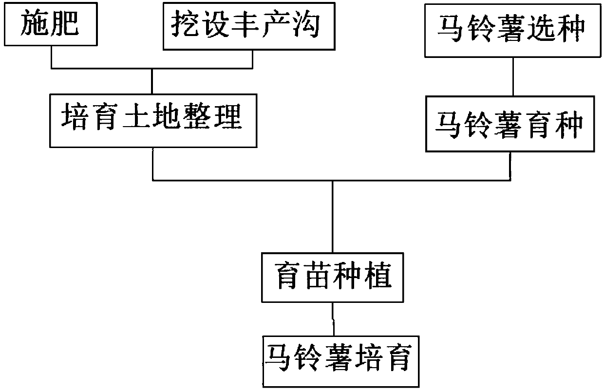 Cultivation method of green food potato