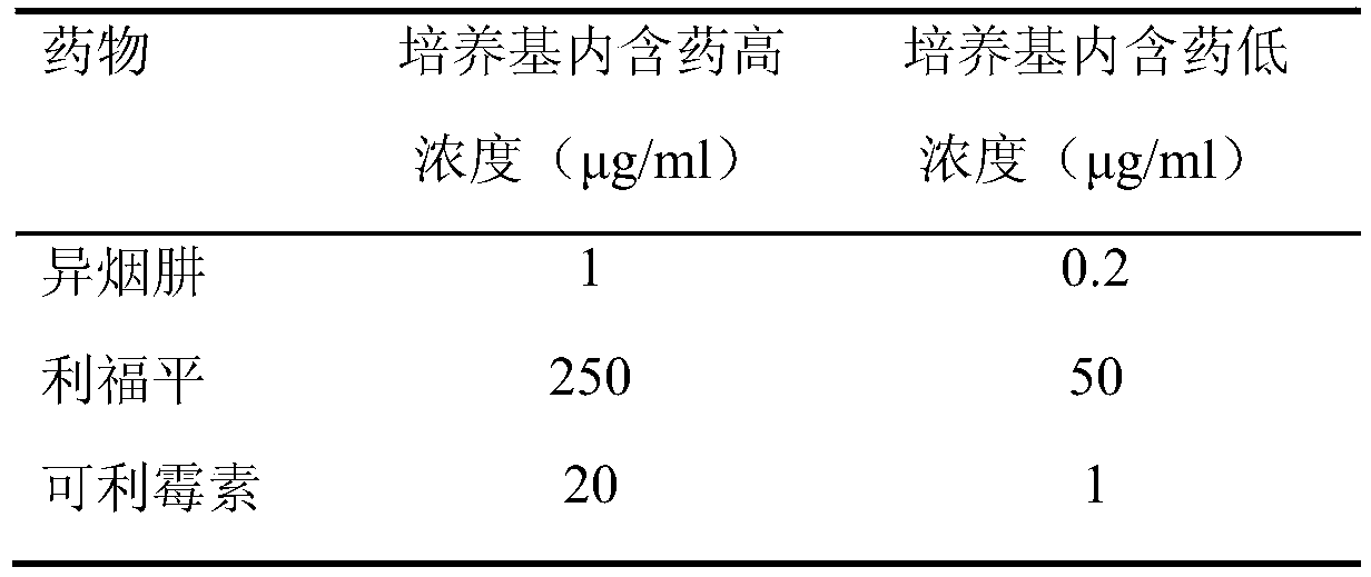 Application of kelimycin in mycobacterium tuberculosis infection resistance