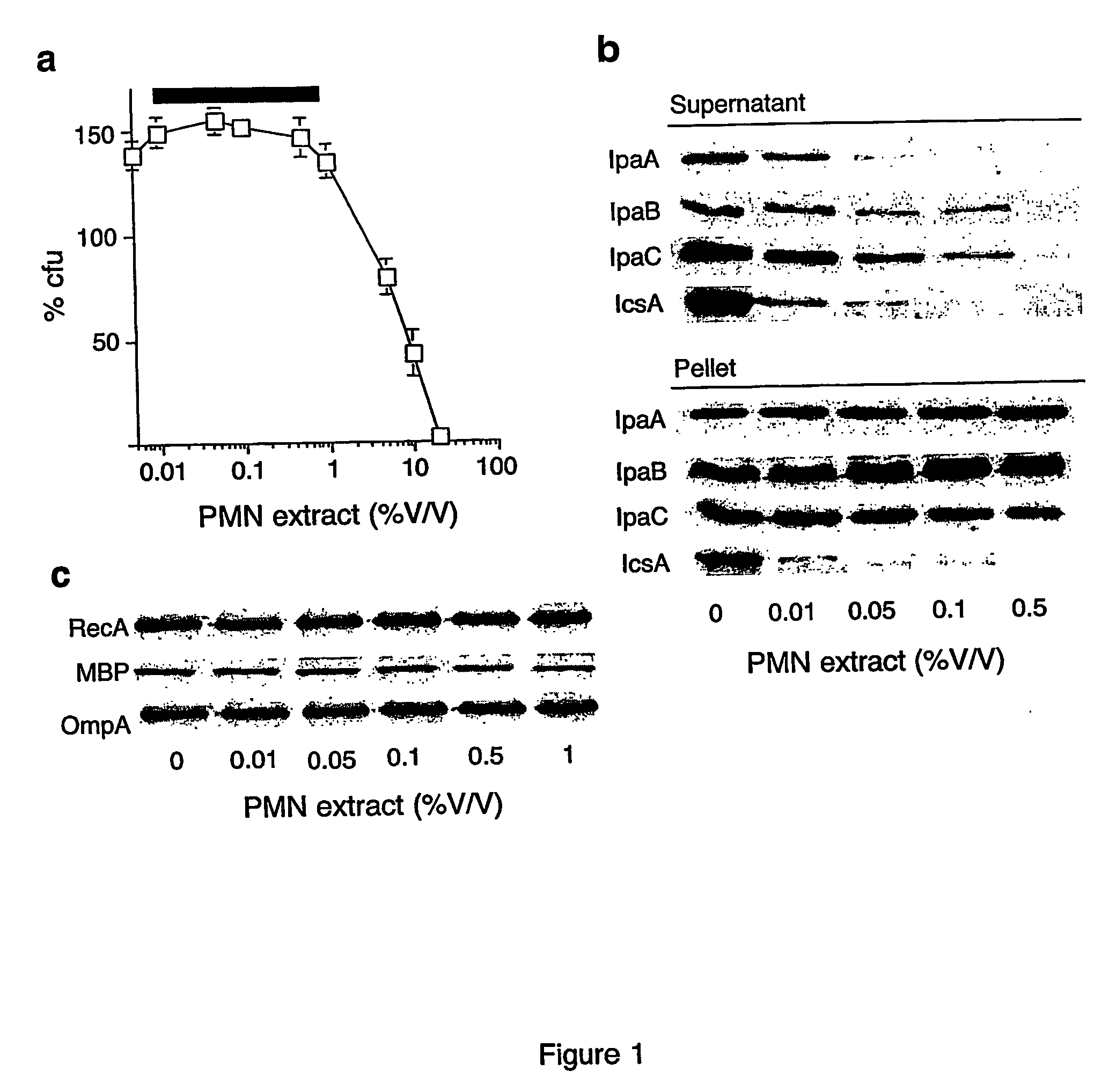 Treatment of bacterial infection with elastase