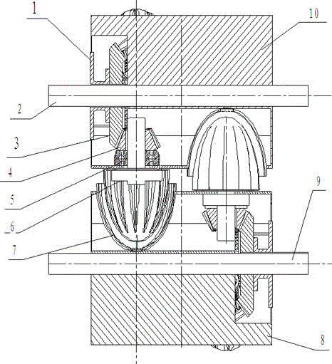 Fruit roll spin juicing mechanism