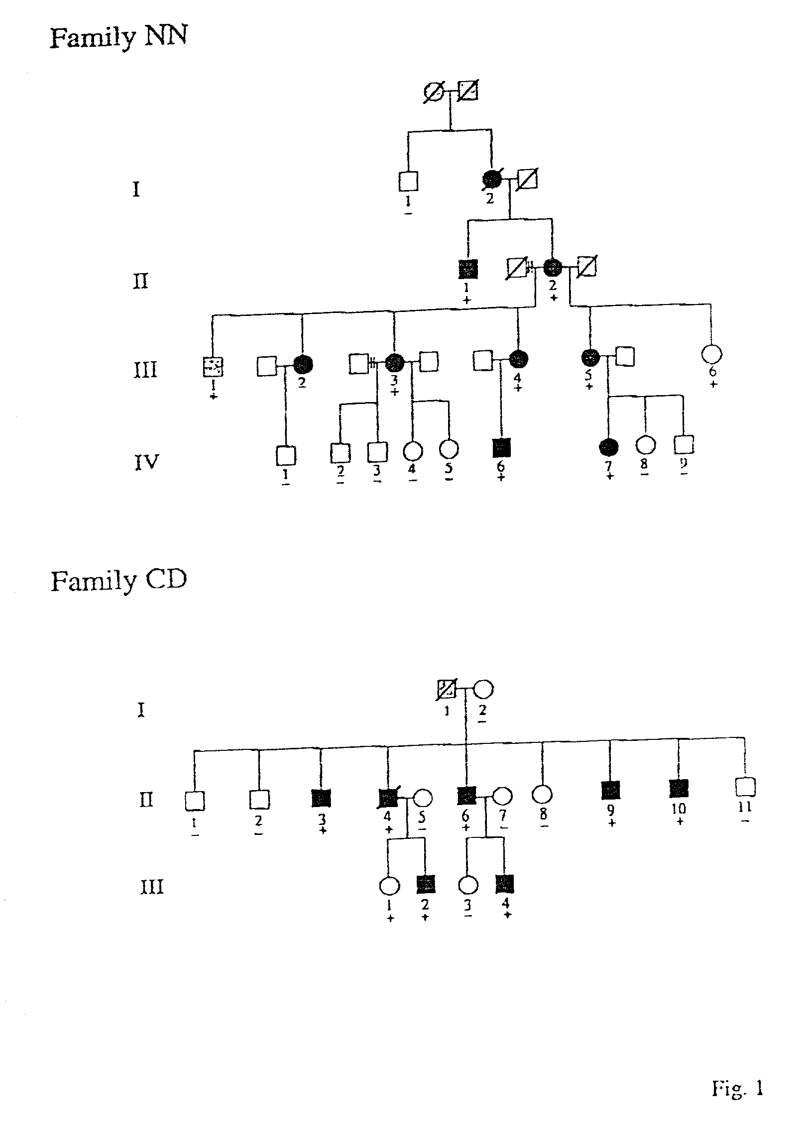 Methods for detecting mutations associated with hypertrophic cardiomyopathy