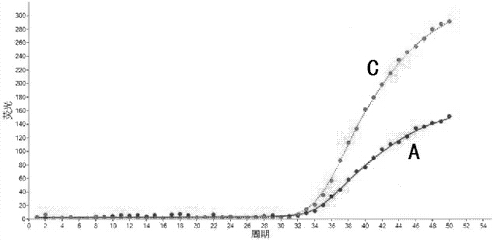 Primer, molecular beacon and kit for rapidly detecting CYP2C9*3 gene polymorphism and detection method of CYP2C9*3 gene polymorphism