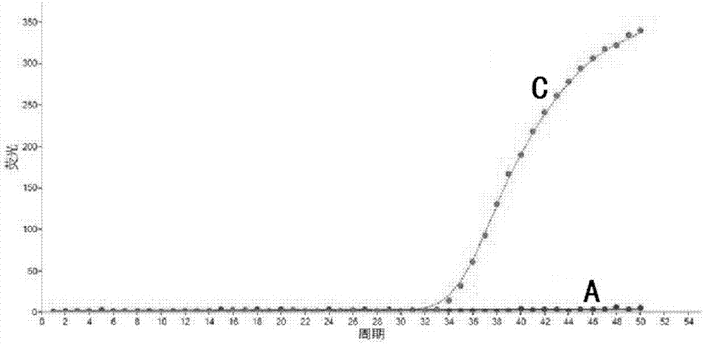 Primer, molecular beacon and kit for rapidly detecting CYP2C9*3 gene polymorphism and detection method of CYP2C9*3 gene polymorphism