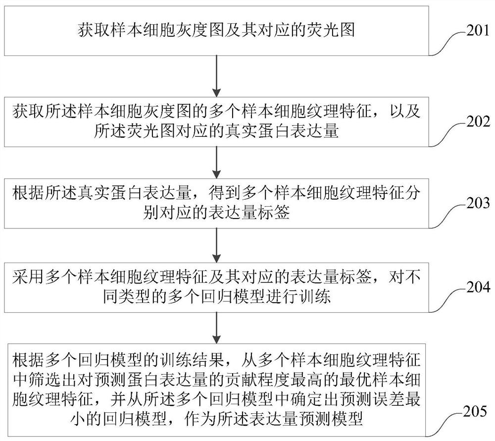 Cell screening method and device based on expression quantity prediction model, computer equipment and storage medium