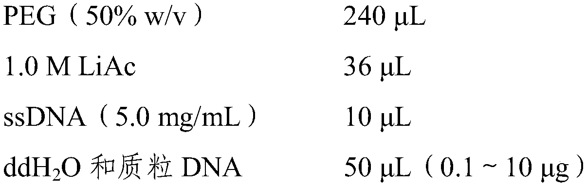 Potassium translocator KUP11 from tobacco and coding gene and application thereof