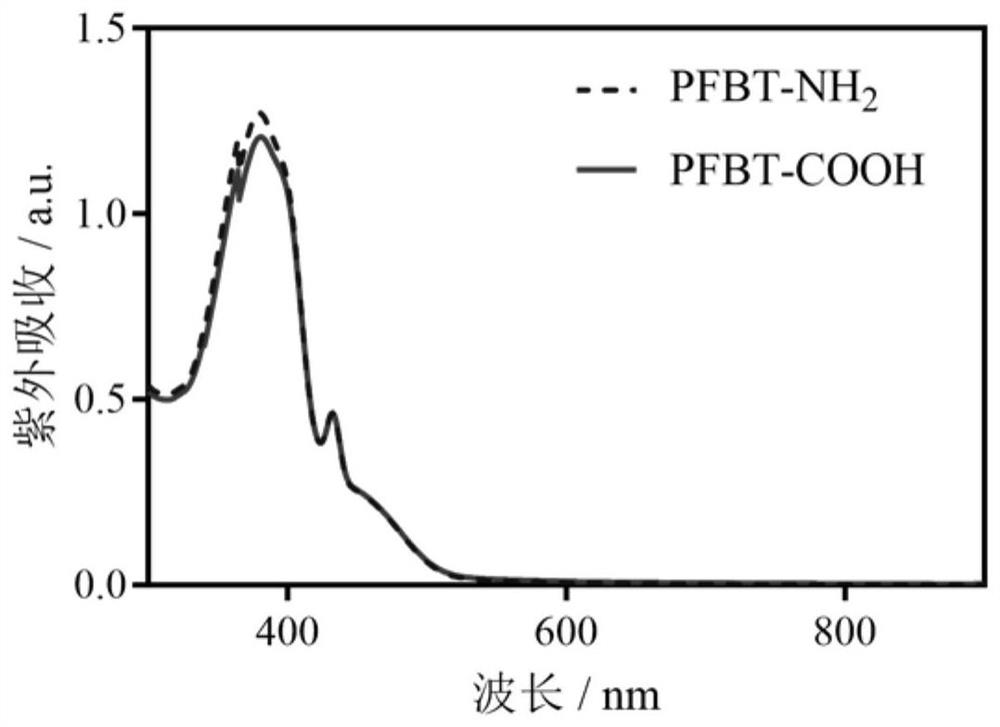 Application of a Fluorescent Conjugated Polymer Nanoprobe in Peripheral Nerve Imaging