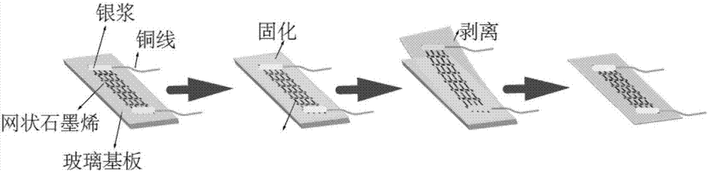 High-sensitivity netted graphene/elastomer strain sensor and preparation method thereof