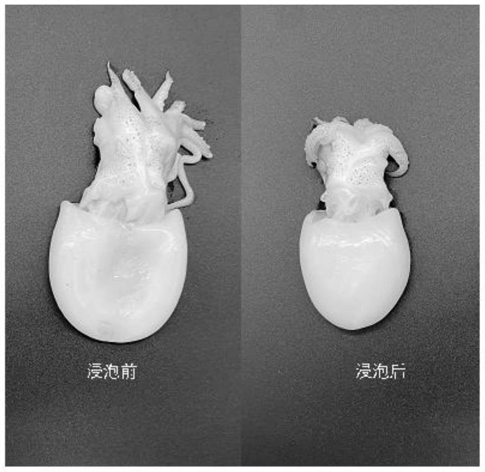 Juvenile cuttlefish quality improver and method for improving quality of frozen juvenile cuttlefish