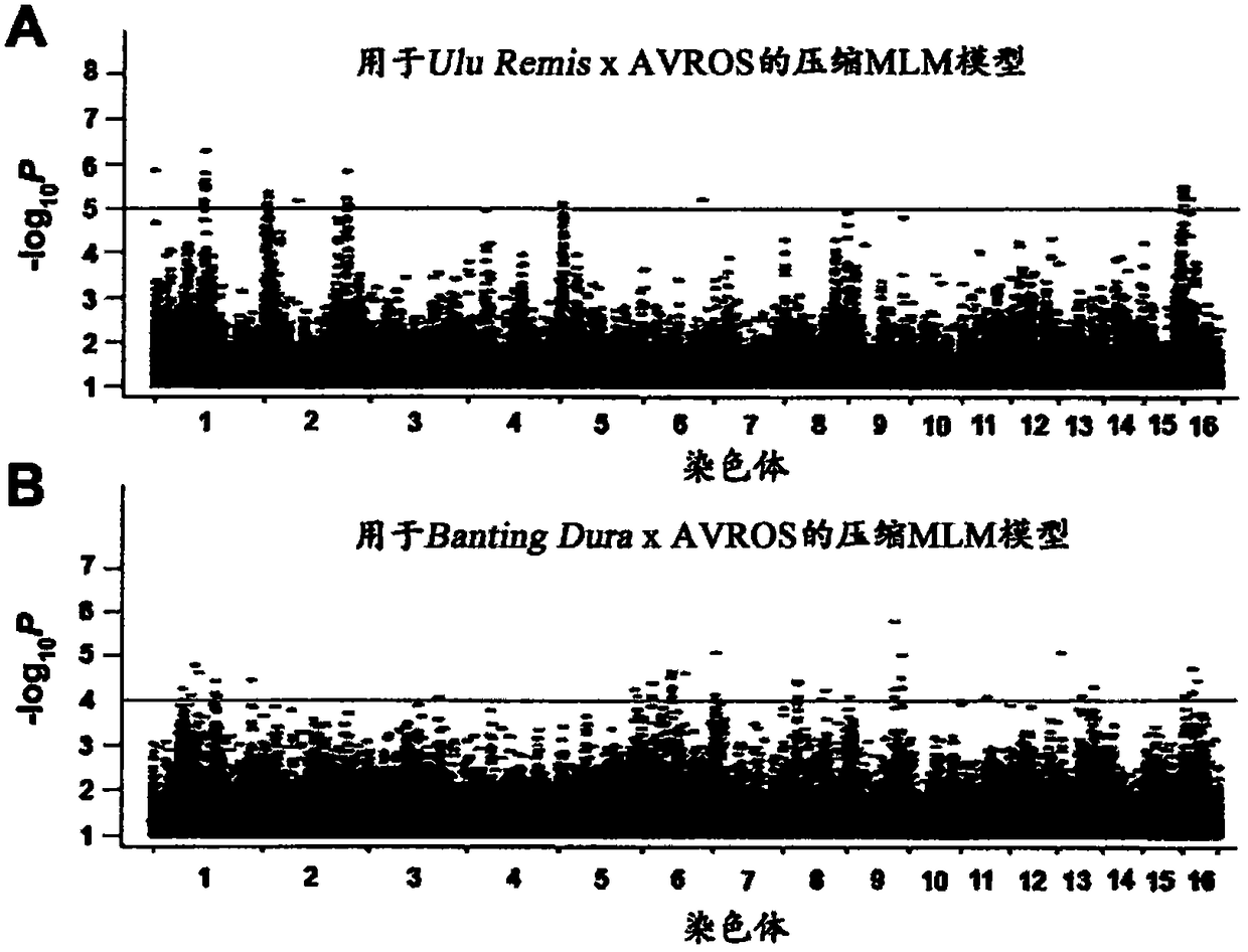 Methods for predicting palm oil yield of a test oil palm plant