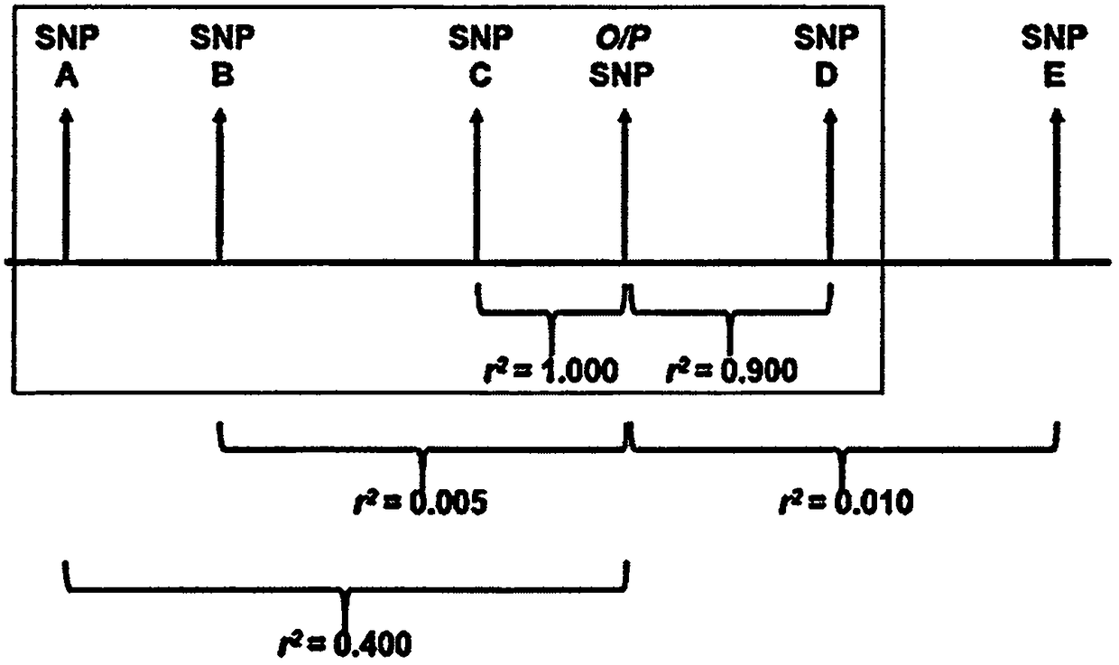 Methods for predicting palm oil yield of a test oil palm plant