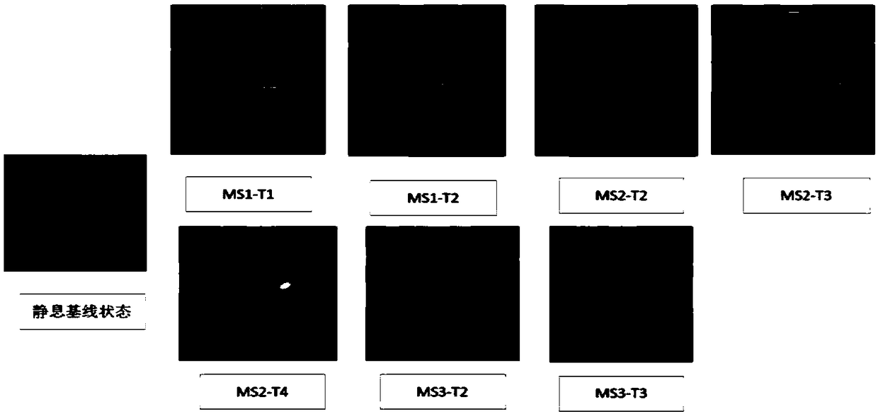 Mental stress evaluation system and method based on VR equipment