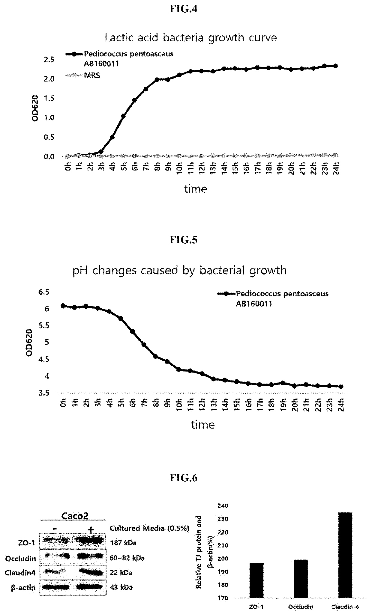 Novel pediococcus pentosaceus ab 160011 strain and composition containing same