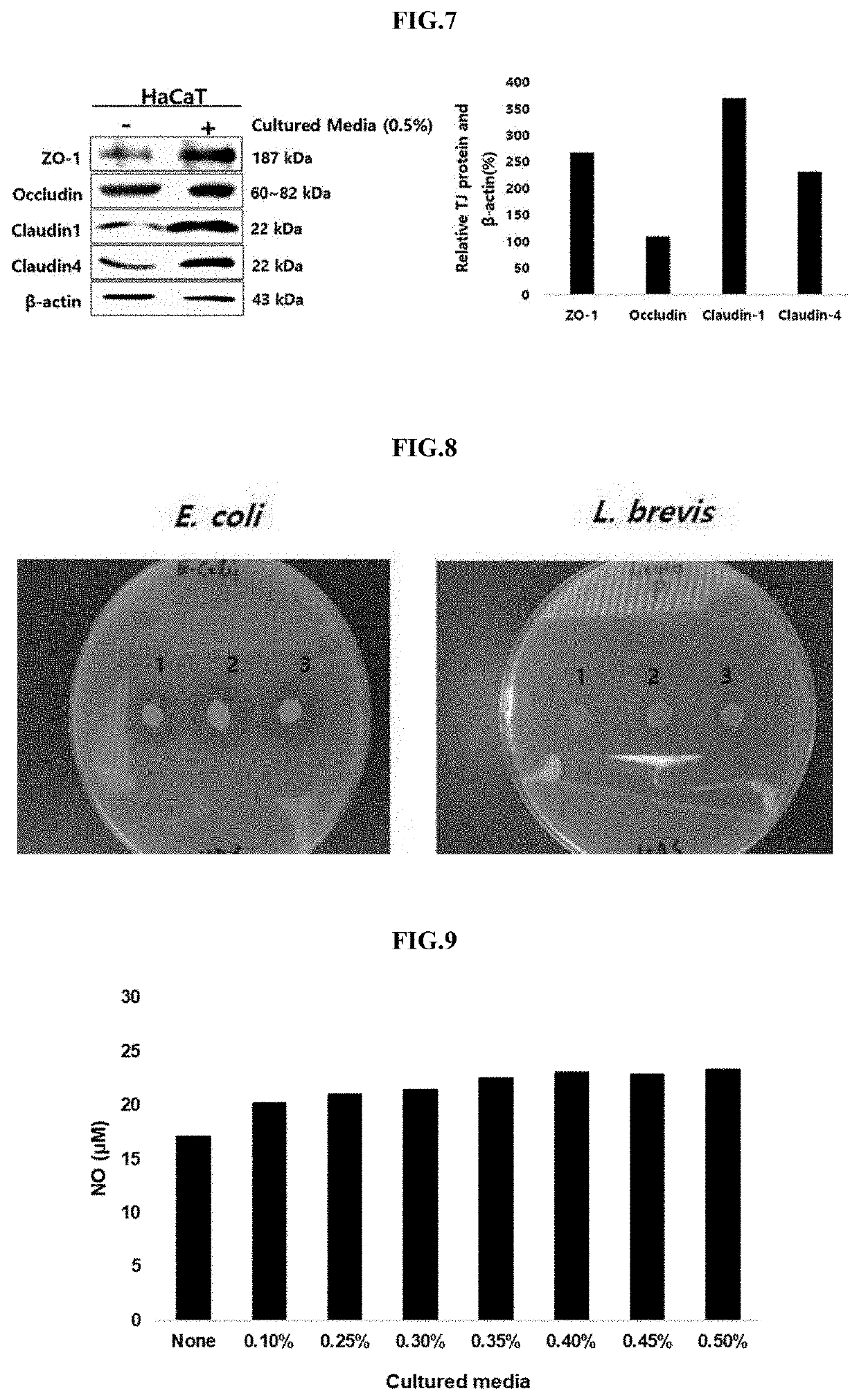 Novel pediococcus pentosaceus ab 160011 strain and composition containing same