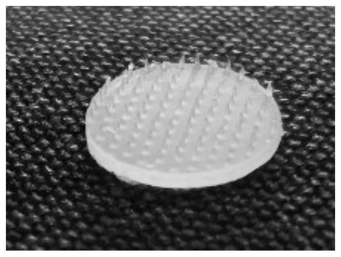 Preparation method of parathyroid hormone (PTH) microneedle