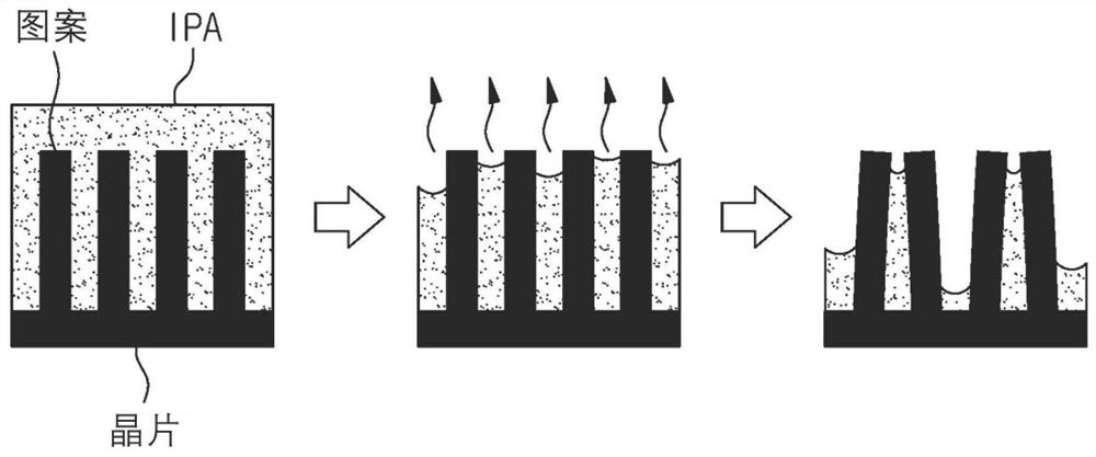 Substrate drying device