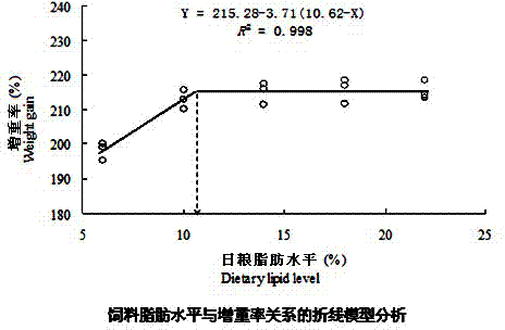 Special compound feed for platichthys stellatus pallas adult fish and preparation method thereof