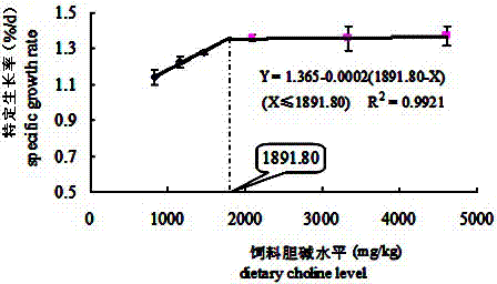 Special compound feed for platichthys stellatus pallas adult fish and preparation method thereof