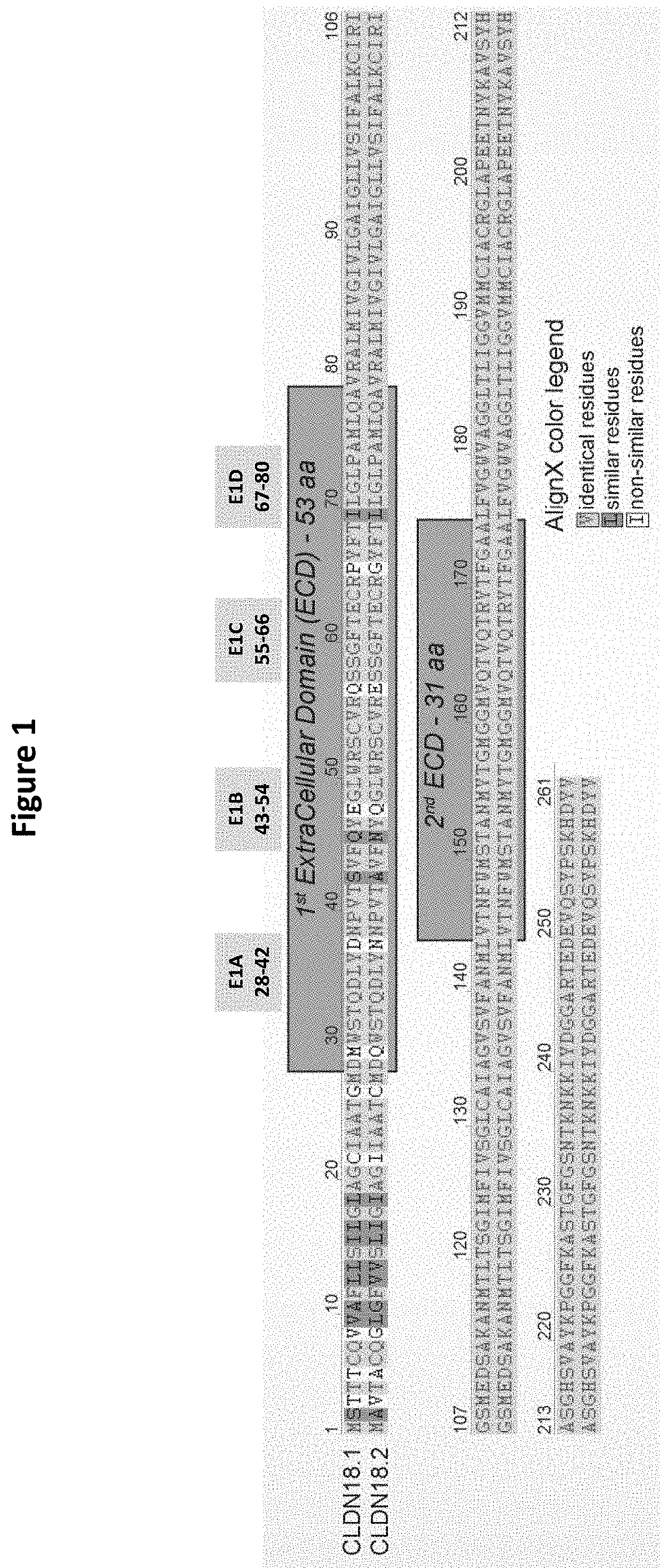 Antibody Constructs for CLDN18.2 and CD3