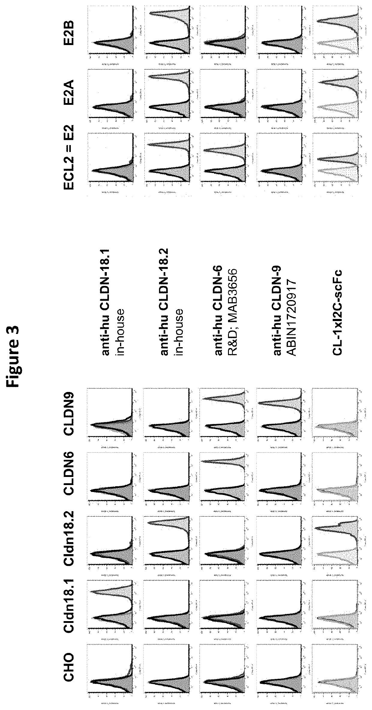 Antibody Constructs for CLDN18.2 and CD3