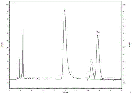 Brown algae and detection method for detecting alginic acid content of brown algae product