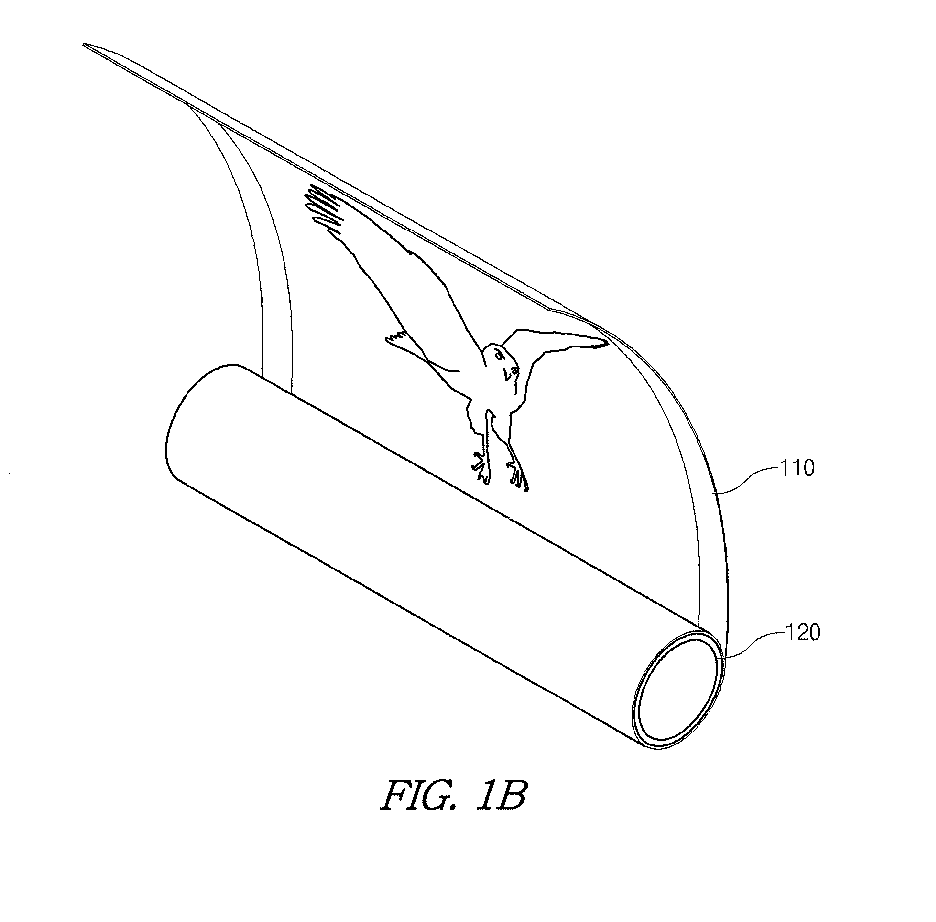 Rollable display device