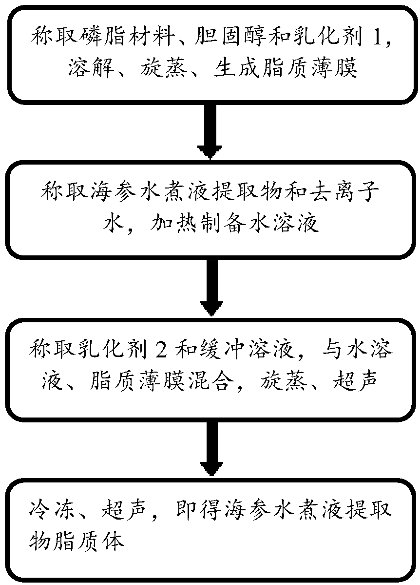 Liposome carrying sea cucumber boiled liquid extract and preparation method thereof