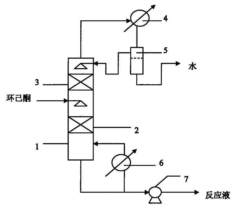 Method for synthesizing cyclohexanone dimer by continuous catalytic reaction and distillation