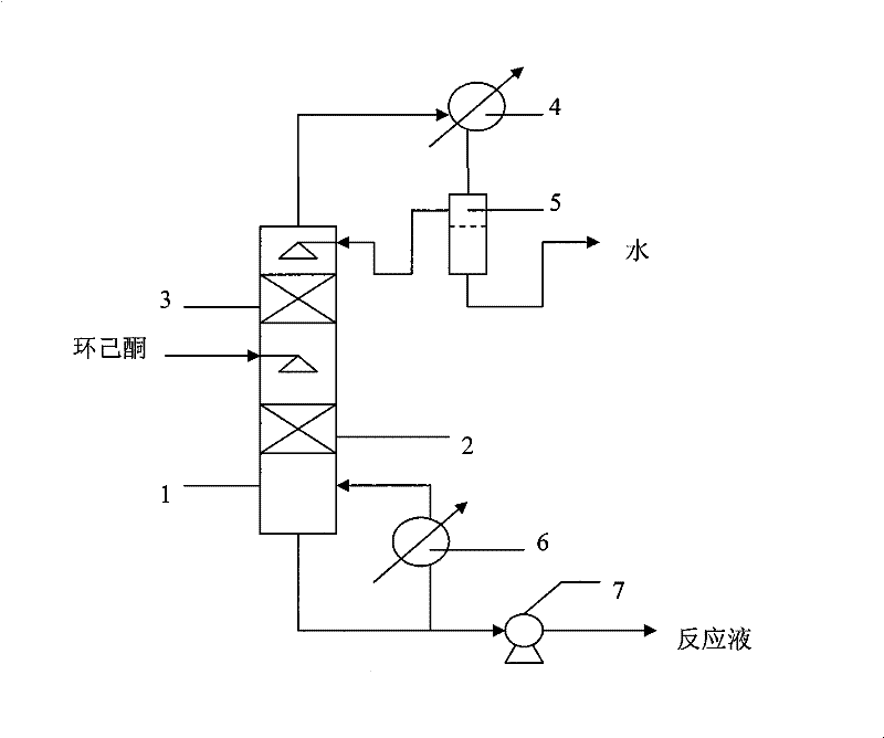 Method for synthesizing cyclohexanone dimer by continuous catalytic reaction and distillation