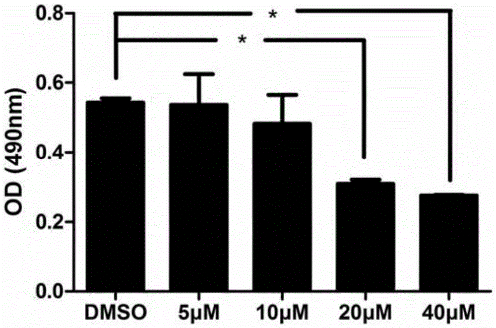 Application of compound mean in the preparation of anti-hbv medicine