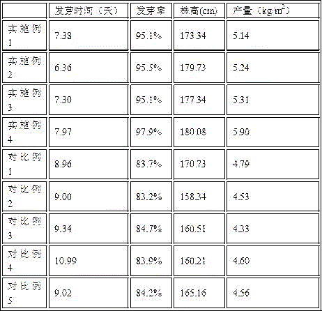 Eggplant planting method with biogas slurry as fertilizer source