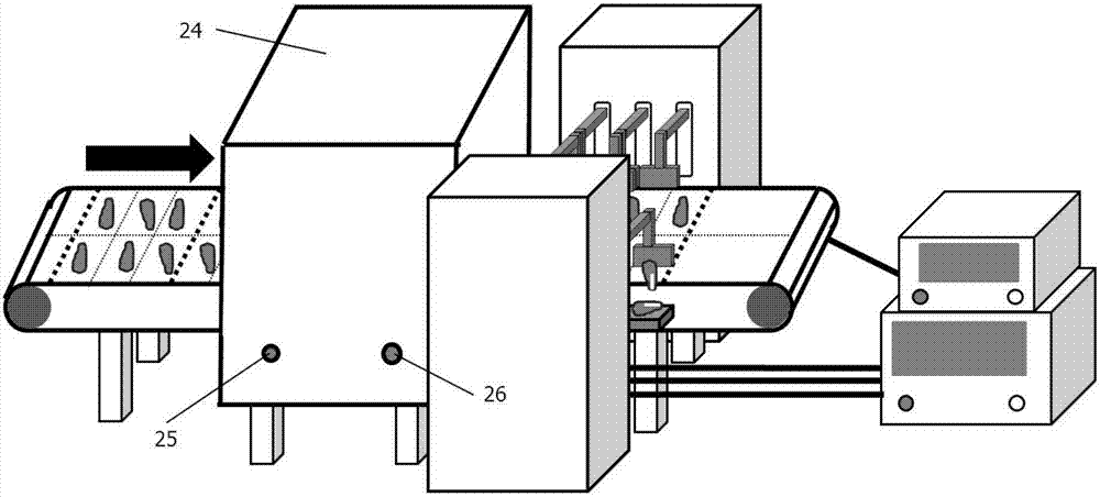 Sorting device and intelligent control system used for bone-containing sliced fish