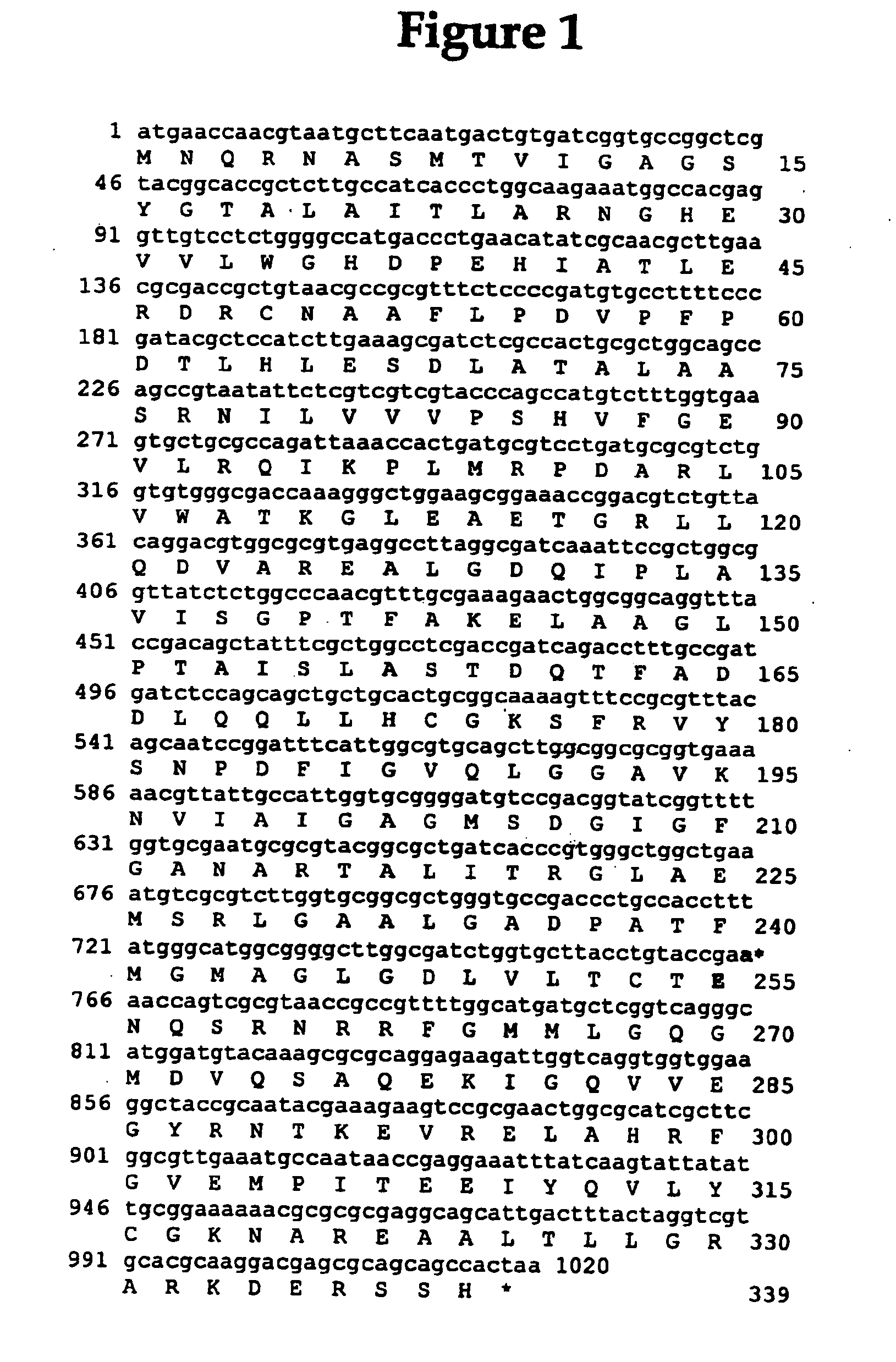 Methods of producing and growing plants having improved phosphorus utilization