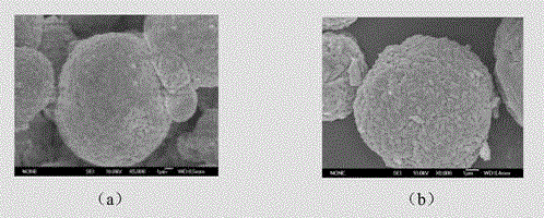 Lithium ion battery anode material adopting in-situ developed heterogeneous core-shell structure and preparation method of material