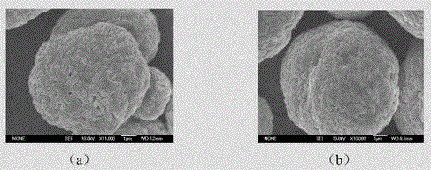 Lithium ion battery anode material adopting in-situ developed heterogeneous core-shell structure and preparation method of material