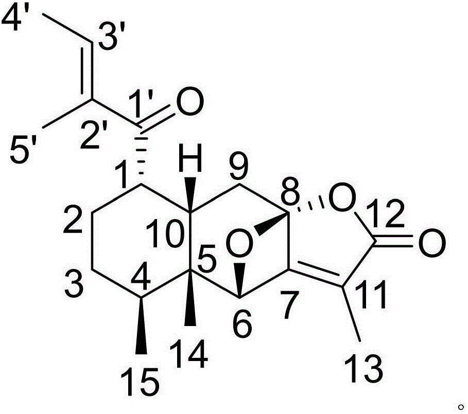 Pharmaceutical composition of alfacalcidol and medical application of pharmaceutical composition