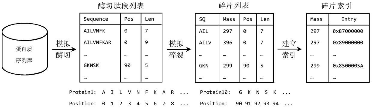 A rapid identification method for cross-linked dipeptides