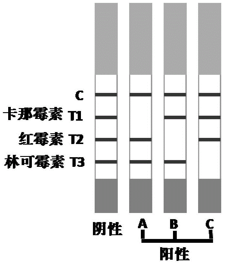 Kanamycin, erythrocin and lincomycin three-in-one micro-hole gold-labeled test strip