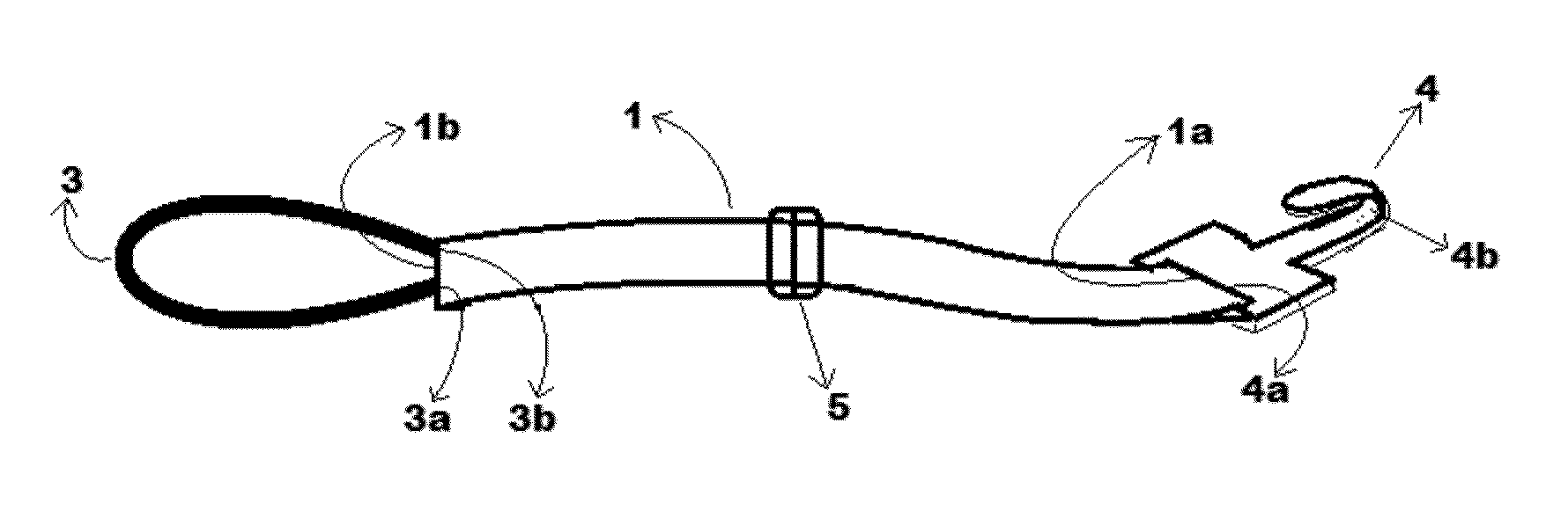 Portable carrier for holding bags or holding displays on vehicles