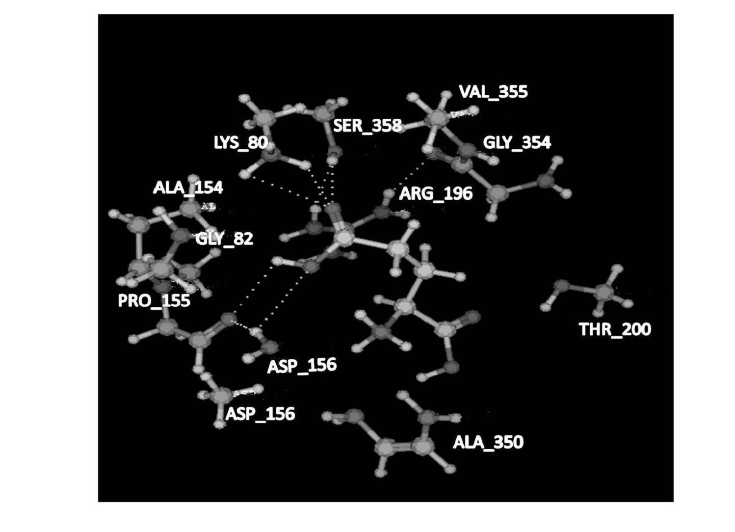 Mutant gene and coding protein of glutamate dehydrogenase of Bacillus natto