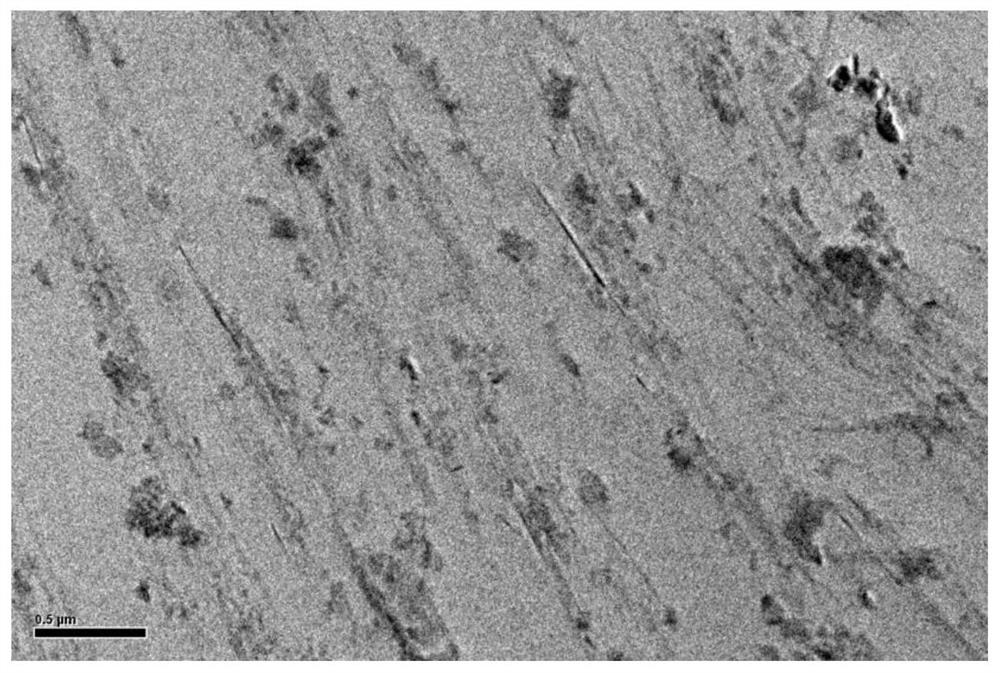 Method for preparing solid polymer electrolyte by doping magnetic field orientation organic modified magnetic nanofibers