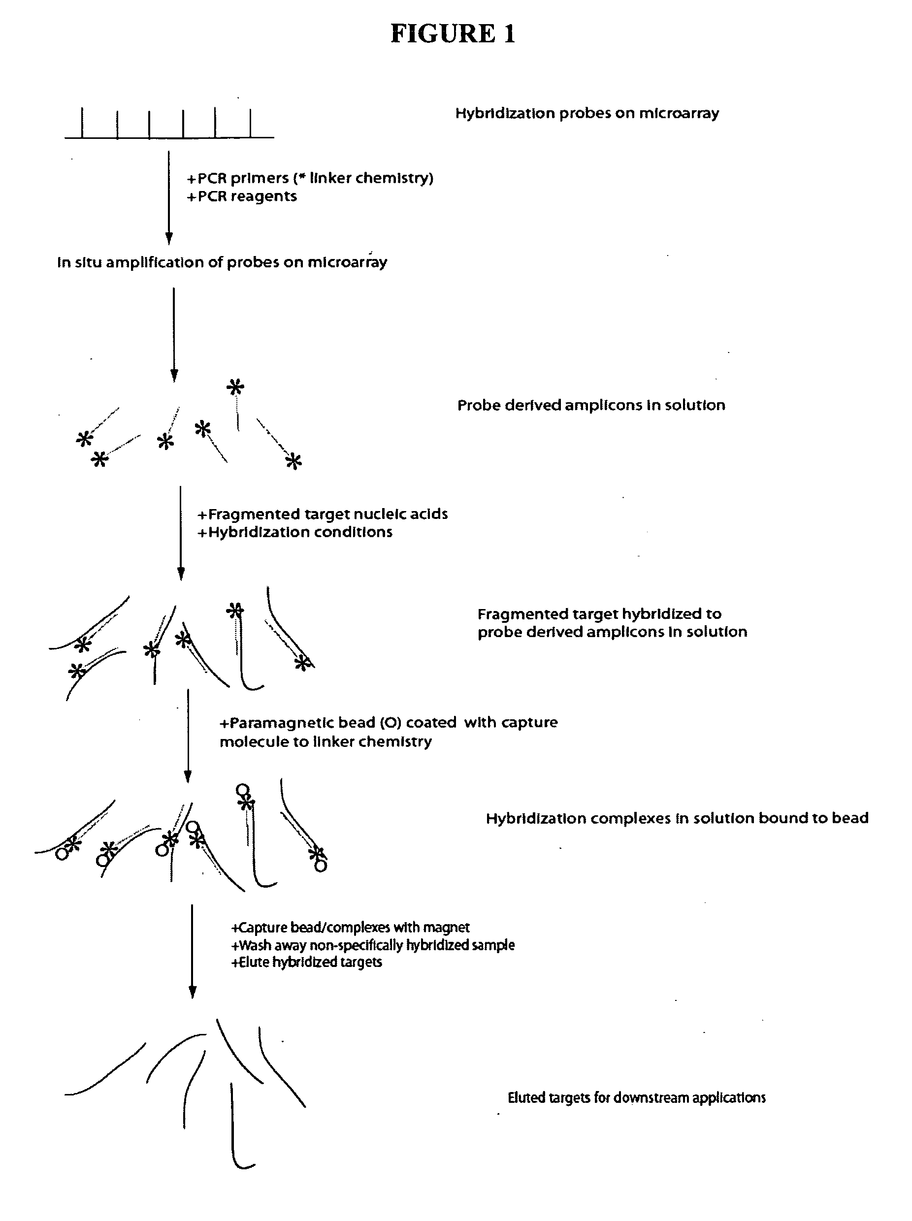 Methods and systems for solution based sequence enrichment