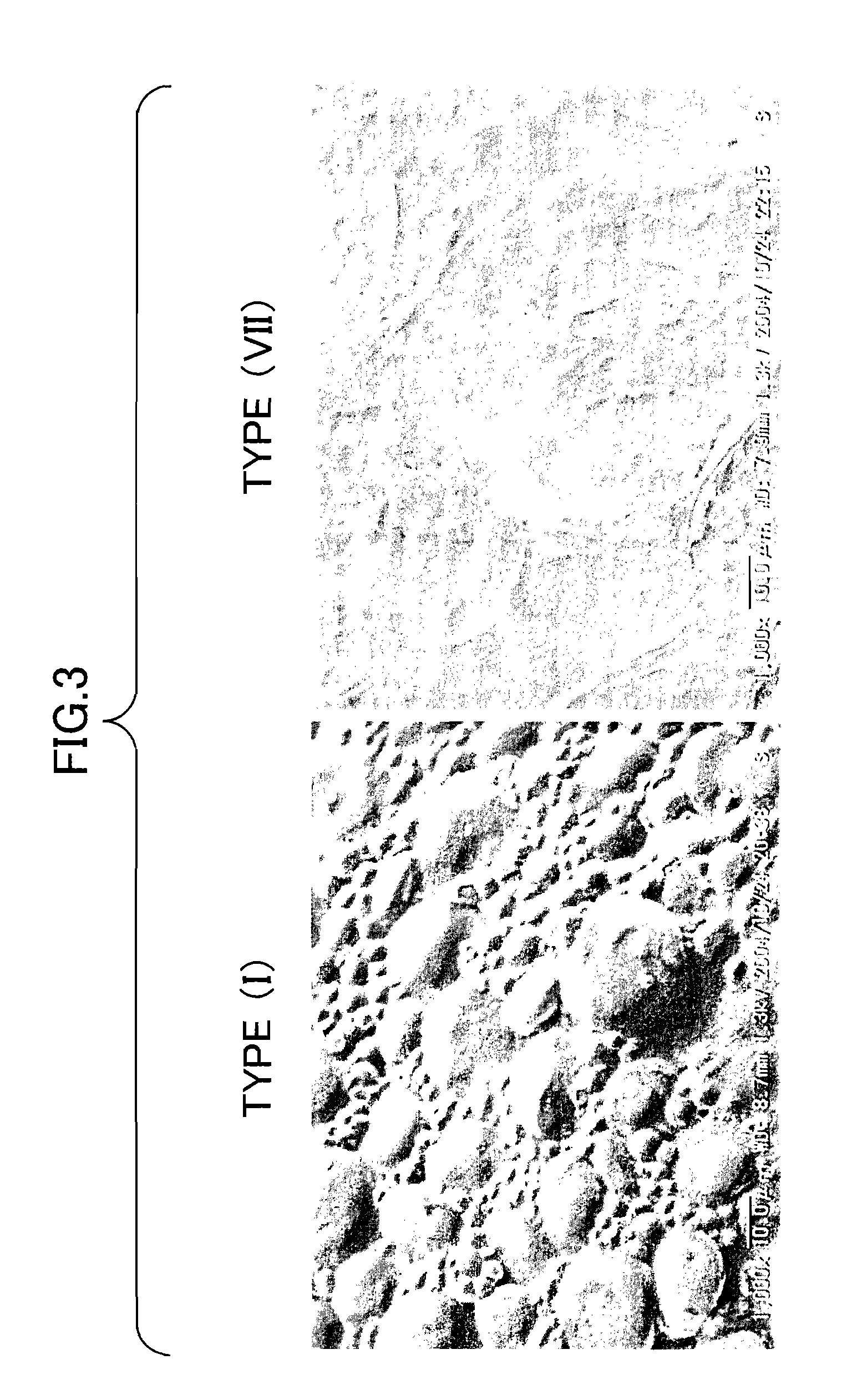 Wheat having new starch and method for producing it