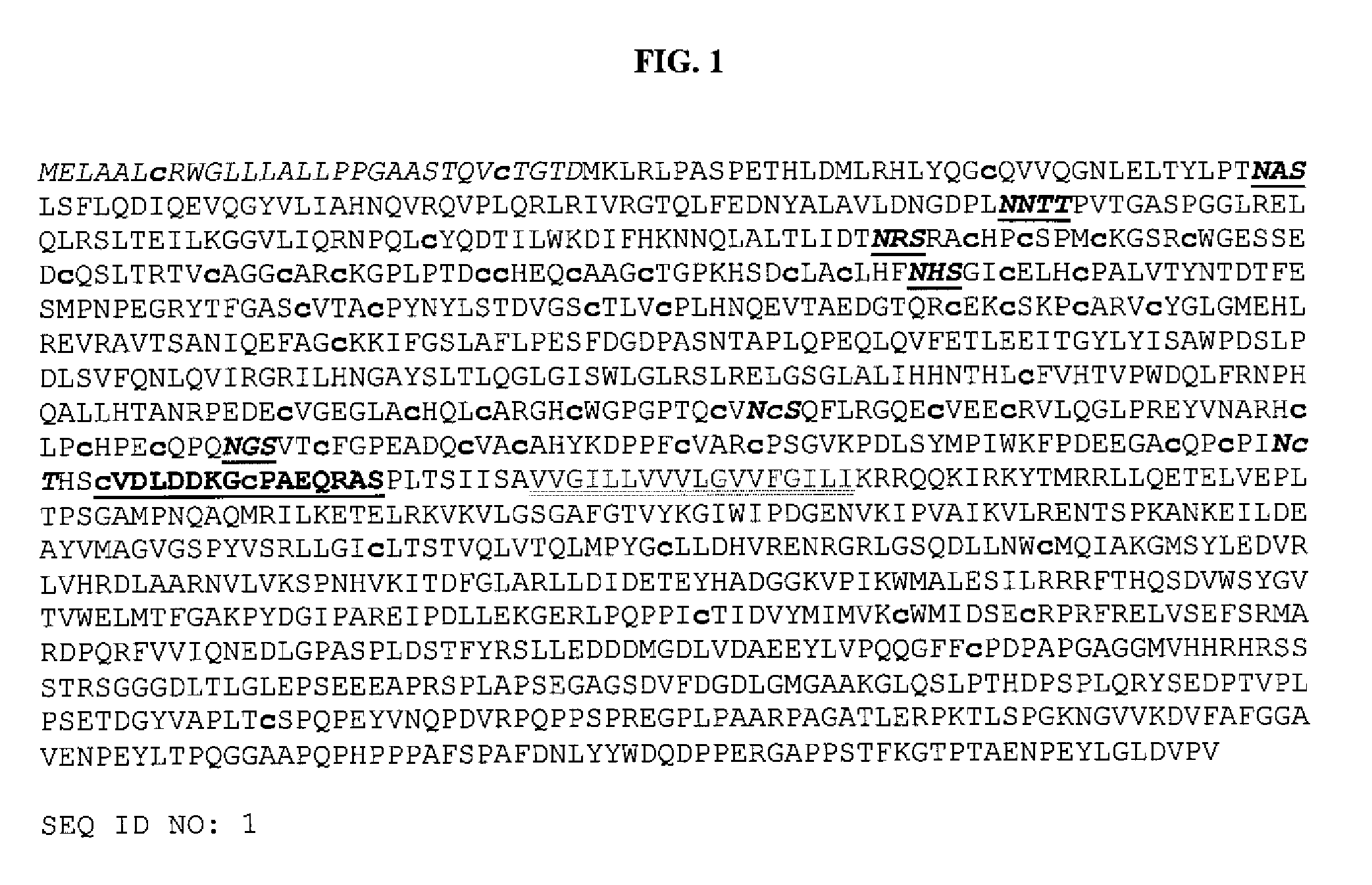 Human Cancer Stem Cell Culture Compositions Comprising Erbb2 Variants and Methods of use Thereof