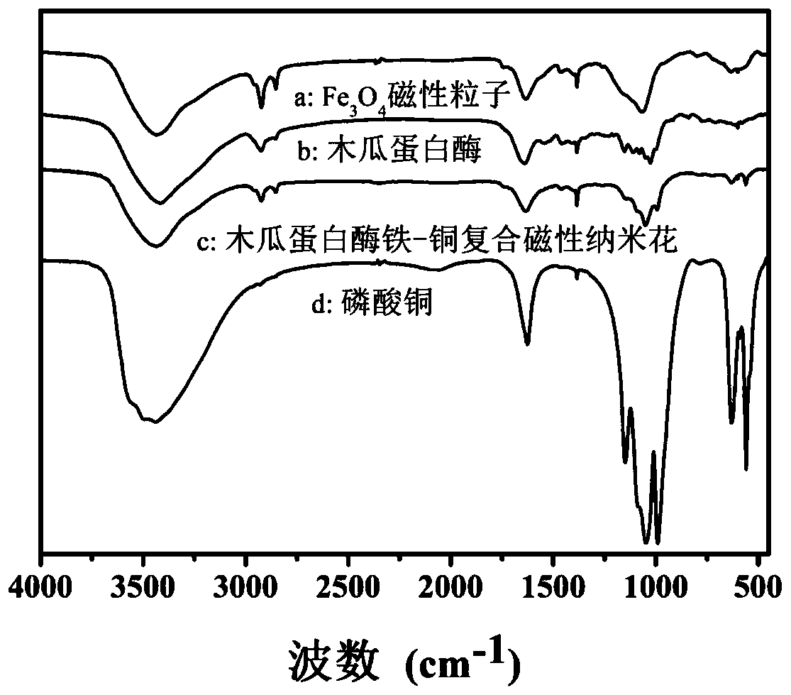 Ferrum-copper composite nanoflowers containing papain and preparation method and application of ferrum-copper composite nanoflowers