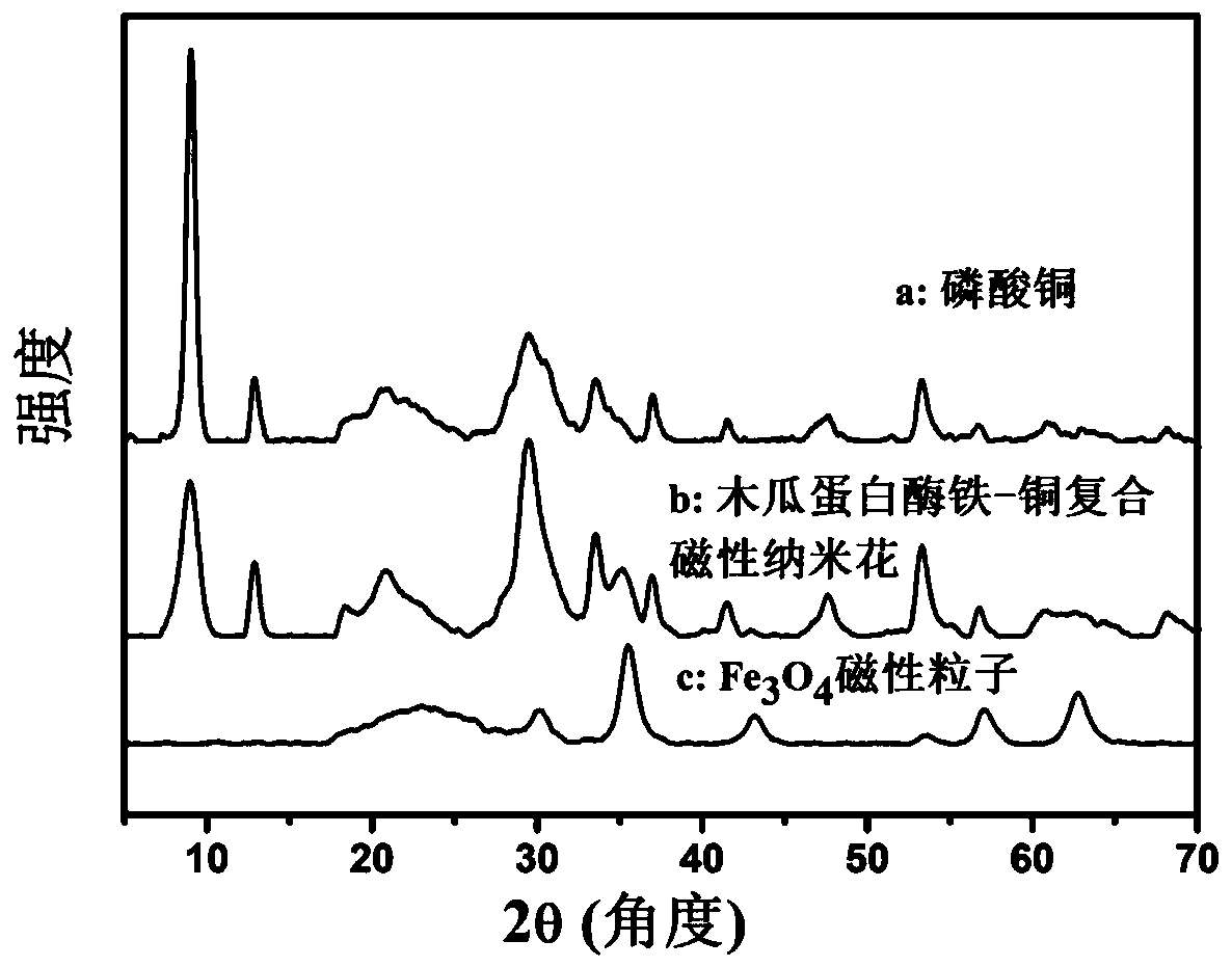 Ferrum-copper composite nanoflowers containing papain and preparation method and application of ferrum-copper composite nanoflowers