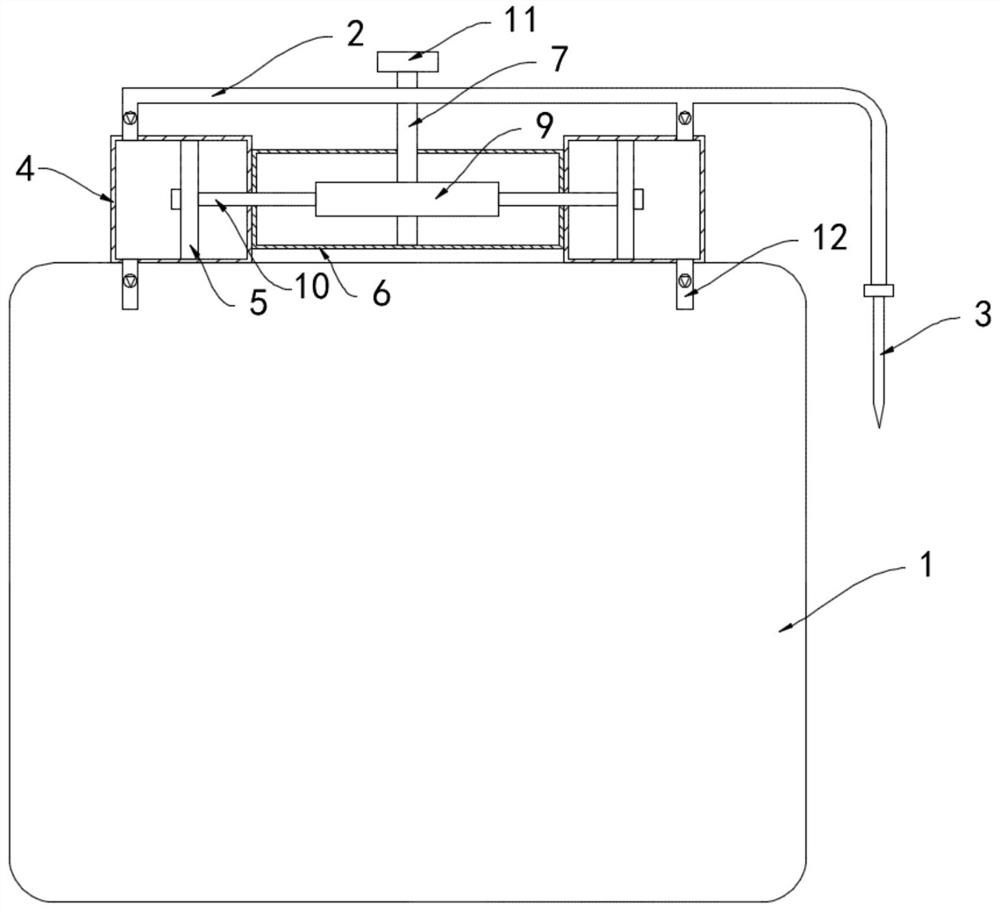 Constant-pressure anti-coagulation animal blood sampling bag